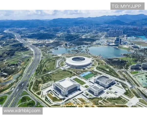 成都排球队实力飙升再创佳绩引发全国关注与期待