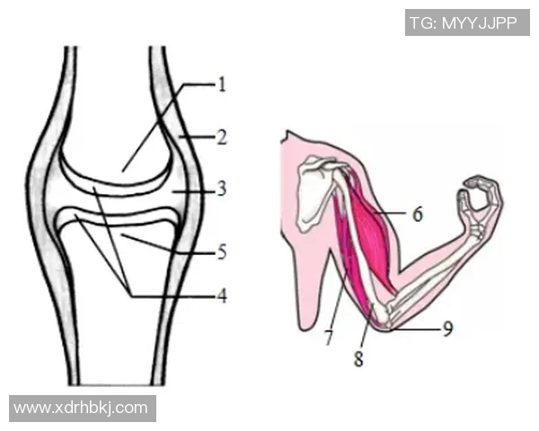 成都网球队在世锦赛中的战术表现分析与总结 成都网球队在世锦赛中的战术表现分析与总结