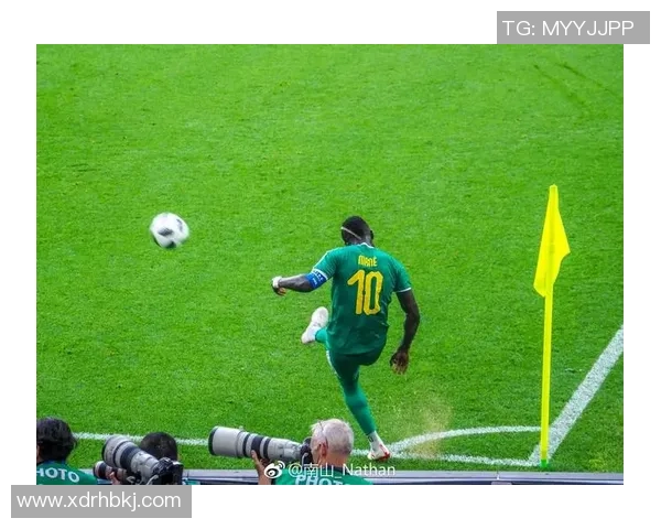 杭州篮球队的奋斗之路与世界杯梦想的追逐之旅