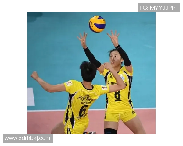 杭州排球队的蜕变之旅总决赛特别报道见证青春与梦想的交汇