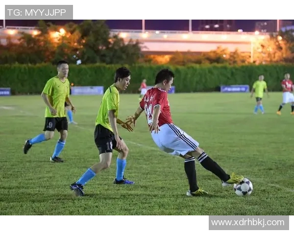 足球明星布里德尔的职业生涯与成就分析及其对足球的影响 足球明星布里德尔的职业生涯与成就分析及其对足球的影响