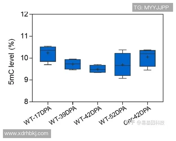 成都篮球队战术表现深度数据分析与战绩关联研究