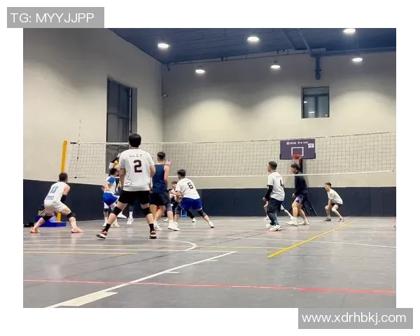 成都排球队灵活性分析与表现评估探讨