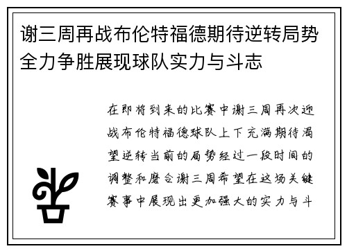谢三周再战布伦特福德期待逆转局势全力争胜展现球队实力与斗志